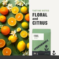 Ethiopia Heirloom Blend Whole Bean Coffee Light Roast USDA Organic Single Origin
