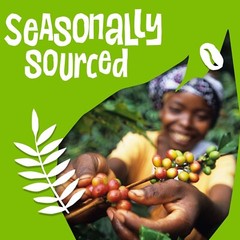 Ethical Bean Fairtrade Organic Coffee,Superdark French Roast, Ground Coffee Bean