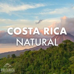 Fresh Roasted Costa Rica Coffee, 16oz Whole Bean – Tested for Quality & Safety