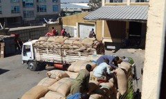 BALI BLUE MOON COFFEE BEANS MEDIUM ROASTED 5 POUNDS IN 1 POUND BAGS