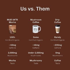 MUDWTR Organic Coffee Mocha Mushroom Coffee – 2.1oz