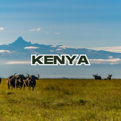 Kenya Koffie – Specialty Grade Organic Coffee – Single Origin