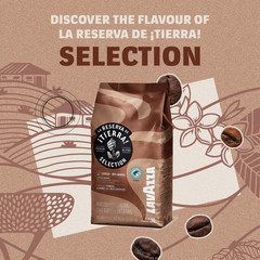 Tierra! Selection Whole Bean Coffee Blend, Medium Roast, 2.2LB Bag , 100% Arabic