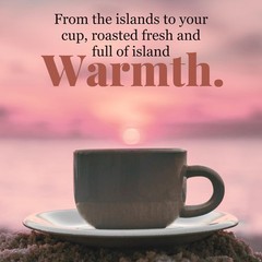 Hawaiian Isles Coffee Aloha From Hawaii Milk Chocolate Blend 8 Ounce Pack