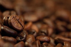 America’s Best Coffee 12 oz, Fresh Roasted Coffee, Coffee Beans, Medium Roast
