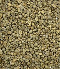 Green Coffee Beans/ Mexican La Laja Honey Tlaltetela Veracruz / 10 Lb UNROASTED