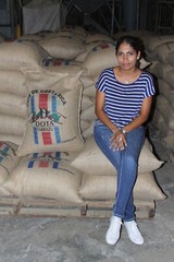 Coffee Beans Bali Blue Moon Fresh Roasted Medium Everyday 2 lbs. / 1 Pound Bags