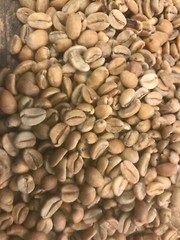 green coffee beans 5 pounds Anaerobic natural process.