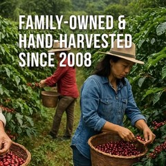 Don Memo Honduras SingleOrigin Dark Roast Coffee Beans Whole Bean 12 oz