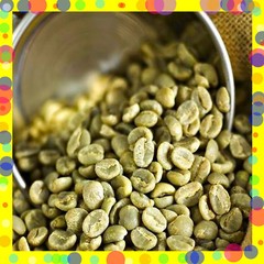 5 lbs Green Coffee – Nicaragua Jinotega green coffee – chocolate, floral, berry